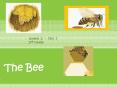 The Bee PowerPoint PPT Presentation