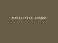 Mitosis and Cell Division PowerPoint PPT Presentation