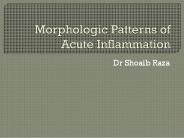 Morphologic Patterns of Acute Inflammation