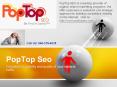 PopTop SEO- Organic Search Engine Optimization Firms PowerPoint PPT Presentation