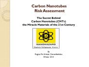 Carbon Nanotubes Risk Assessment