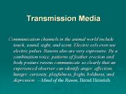 Transmission Media