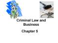 Criminal%20Law%20and%20Business PowerPoint PPT Presentation