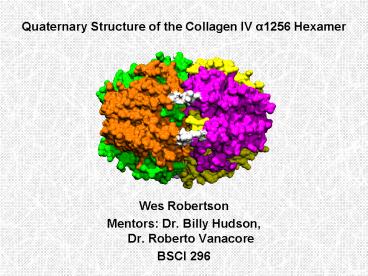 Quaternary Structure of the Collagen IV a1256 Hexamer