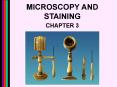 MICROSCOPY AND STAINING PowerPoint PPT Presentation