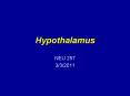 Hypothalamus PowerPoint PPT Presentation