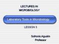 Laboratory Tools in Microbiology PowerPoint PPT Presentation