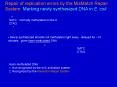 Repair of replication errors by the MisMatch Repair System: Marking newly synthesized DNA in E. coli PowerPoint PPT Presentation