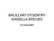 BACILLARY DYSENTRY SHIGELLA SPECIES