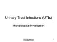 Urinary Tract Infections (UTIs) PowerPoint PPT Presentation