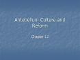 Antebellum Culture and Reform PowerPoint PPT Presentation