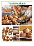 Yeast Products PowerPoint PPT Presentation