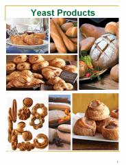 Yeast Products