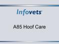 A85 Hoof Care PowerPoint PPT Presentation