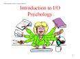 Introduction to I/O Psychology PowerPoint PPT Presentation