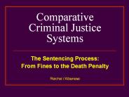 Comparative Criminal Justice Systems