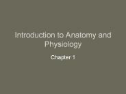 Introduction to Anatomy and Physiology