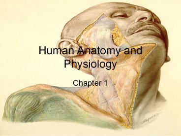 Human Anatomy and Physiology