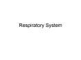 Respiratory System PowerPoint PPT Presentation