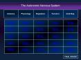 The Autonomic Nervous System PowerPoint PPT Presentation