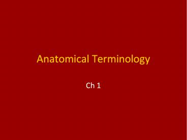 Anatomical Terminology