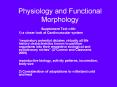 Physiology and Functional Morphology PowerPoint PPT Presentation