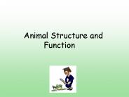 Animal Structure and   Function