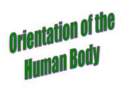 Orientation of the