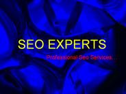 Search Engine Optimization Experts