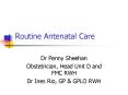 Routine Antenatal Care PowerPoint PPT Presentation