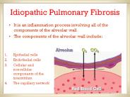Idiopathic Pulmonary Fibrosis
