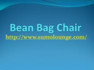 Bean Bag Chair