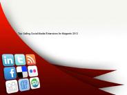 Top Selling Social Media Extensions for Magento 2013