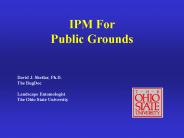 IPM For