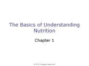 The Basics of Understanding Nutrition