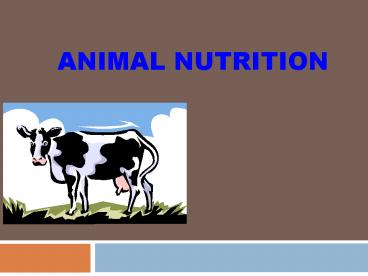 Animal Nutrition