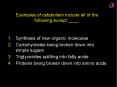 Examples of catabolism include all of the following except ____. PowerPoint PPT Presentation