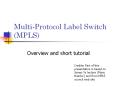 Multi-Protocol Label Switch (MPLS) PowerPoint PPT Presentation
