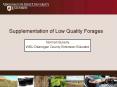 Supplementation of Low Quality Forages PowerPoint PPT Presentation