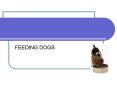 FEEDING DOGS PowerPoint PPT Presentation