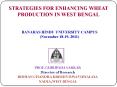 STRATEGIES FOR ENHANCING WHEAT PRODUCTION IN WEST BENGAL PowerPoint PPT Presentation