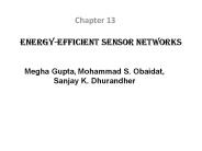 Energy-Efficient Sensor Networks