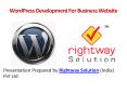 WordPress Development Company for Business Website Development PowerPoint PPT Presentation