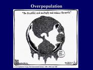 Overpopulation