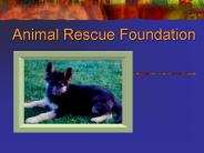 Animal Rescue Foundation