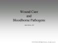 Wound Care and Bloodborne Pathogens Juan Cuevas, ATC PowerPoint PPT Presentation