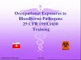 Occupational Exposures to Bloodborne Pathogens 29 CFR 1910.1030 Training PowerPoint PPT Presentation