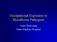 Occupational Exposures to Bloodborne Pathogens PowerPoint PPT Presentation