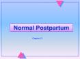 Normal Postpartum PowerPoint PPT Presentation