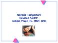 Normal Postpartum Revised 1/31/11 Debbie Perez RN, MSN, CNS PowerPoint PPT Presentation